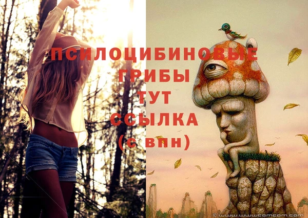 молекула духа Заводоуковск