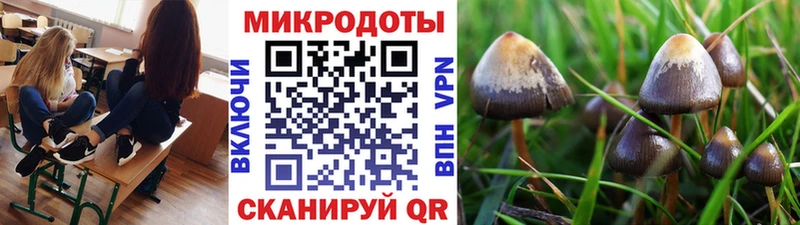 Купить закладки  Прокопьевск  Галлюциногенные грибы мухоморы 